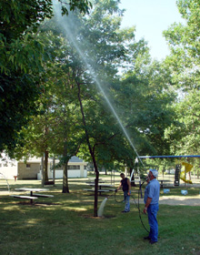 greentree spraying